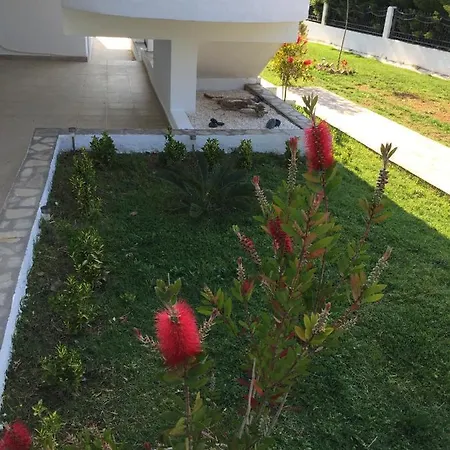 Simplicity At Iris Accommodation Psakoudia Extérieur photo